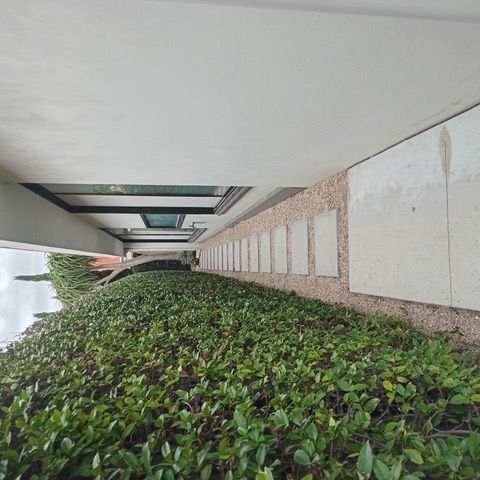Neatly clipped hedge running along a stepping-stone garden path